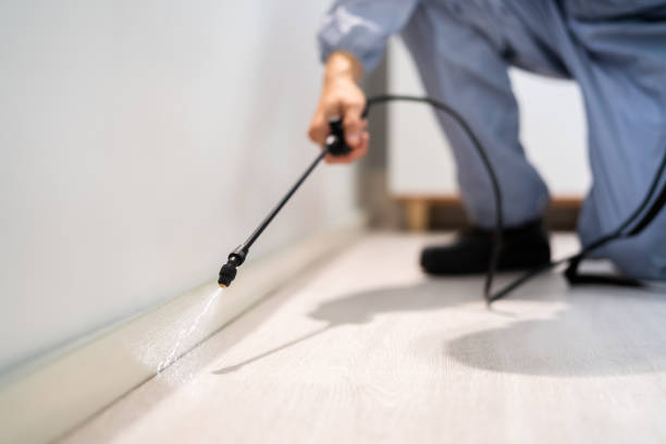 Licensed Pest Control service in Dwight, IL - Show Me Pest Control