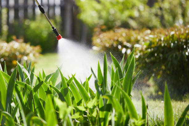 Tamper-Resistant Bait Stations for Rodents in Dwight