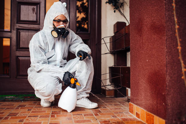 Attic and Crawl Space Rodent Treatment in Dwight